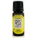 Menta aceite esencial BIO 10ml