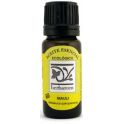 Niauli aceite esencial BIO 10ml HERBAROM