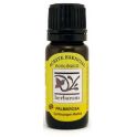 Palmarosa BIO ( planta) 10ml - HERBARON