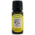 Ylang- Ylang- aceite esencial BIO 10ml