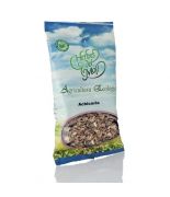 Achicoria ,raiz + PLANTA 80 gr BIO Herbes del Moli