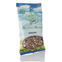 Achicoria ,raiz + PLANTA 80 gr BIO Herbes del Moli
