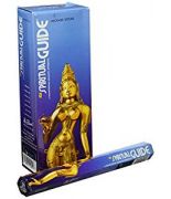 Spiritual Guide incienso tubo 20st