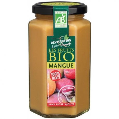Mermelada 100% fruta MANGO S/A BIO 300gr DESTINAT