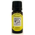 Lavandin aceite esencial BIO 10ml