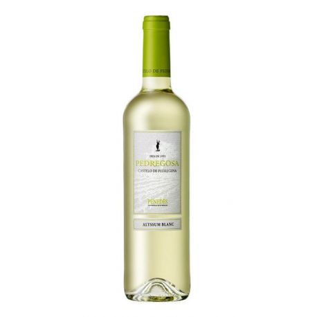 Vino Blanco Ecologico 750ml PEDREGOSA
