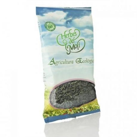 T&eacute; verde gunpowder, PLANTA BIO 70 gr HERBES MOLI