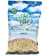 Hinojo , semillas PLANTA 90 gr BIO