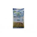 Ortiga Blanca + PLANTA 35 gr BIO Herbes del Moli