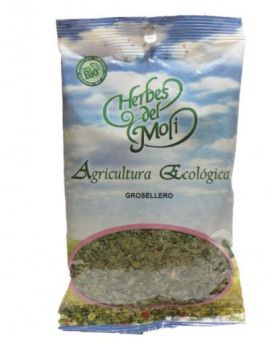 Grosellero negro , hoja PLANTA 40 gr BIO