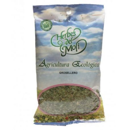Grosellero negro + , hoja PLANTA 40 gr BIO Herb