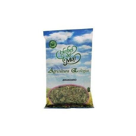 Arandano, hojas PLANTA 30 gr BIO HERBES MOLIS