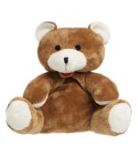 Oso Peluche Termico 23x28x10 cm CHERRY BELLY