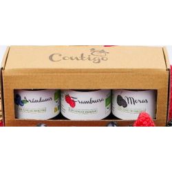 Caja para 3 Mermelada TXIKI 100 GR S/A-BIO-CON