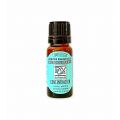 CONCENTRACION - Aceite esencial BIO 10ml HERBAROM