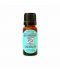 CONCENTRACION - Aceite esencial BIO 10ml HERBAROM