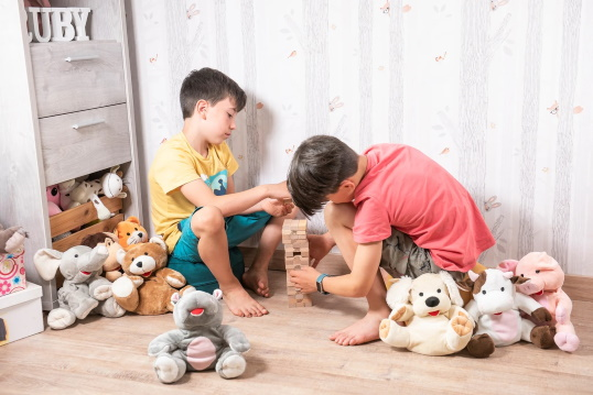 Peluches temicos